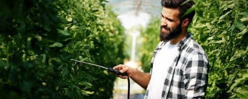 Curso Bsico de Plagas, Control Biolgico y Gestin Integrada (GIP)