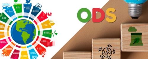 Curso de Objetivos de Desarrollo Sostenible (ODS) en la Estrategia Empresarial: Aplicacin Prctica para PYMES