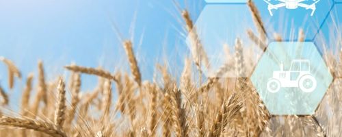 Curso Prctico de Teledeteccin Agrcola. Agricultura de Precisin