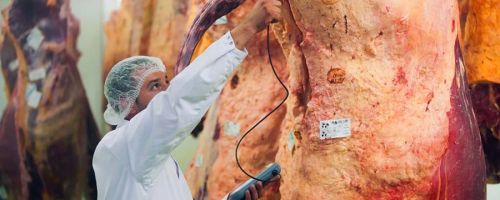 Curso de Trazabilidad y Seguridad Alimentaria en el Sector Crnico