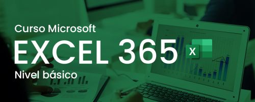 Curso de Microsoft Excel 365 - Nivel Bsico