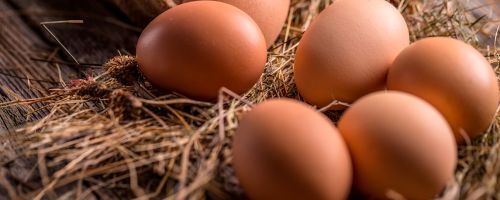 Curso de Trazabilidad y Seguridad Alimentaria en el Sector del Huevo
