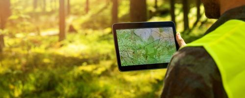 Curso Prctico de LIDAR FORESTAL. Mtodos de Masa