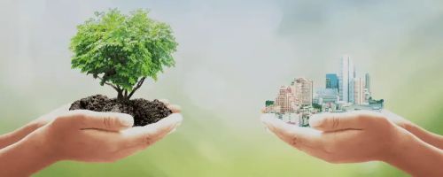 Curso de Introducci�n a la Sostenibilidad en la Empresa