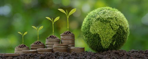 Curso de Desarrollo de Economa Sostenible