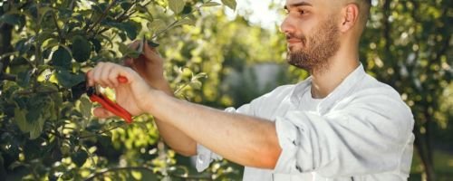 Curso de Poda e Injerto de Frutales