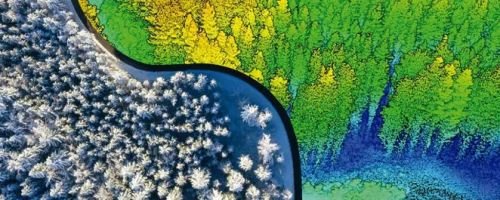 Curso Prctico de LIDAR Forestal. rbol Individual
