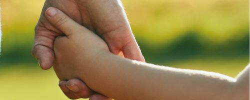 Curso de Elaboracin de Protocolos de Proteccin Infantil y Adolescente LOPIVI