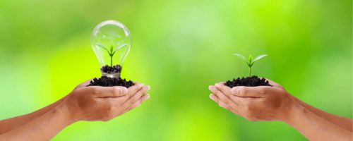 Curso de Energa de la Biomasa