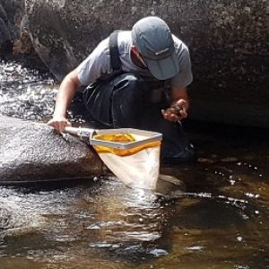 Curso de Tcnico en Contaminacin de Aguas, Suelos y Aguas Subterrneas