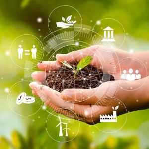 Curso de Evaluacin de Impacto Ambiental, E.A.E. y A.A.I.
