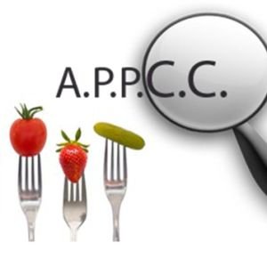 Curso de APPCC y Prerrequisitos - Sistema de Autocontrol de Higiene y Seguridad Alimentaria