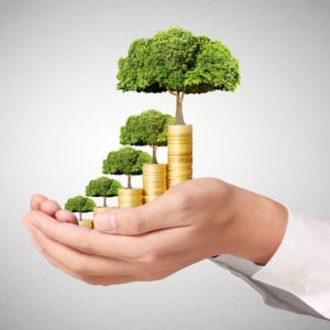 Curso de Desarrollo de Economa Sostenible