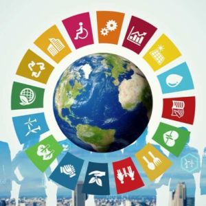 Curso de Objetivos de Desarrollo Sostenible (ODS) para la Administracin Pblica: Implementacin Prctica y Evaluacin