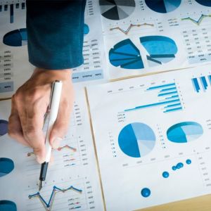 Mster Profesional en Asesora Contable - Adaptado al Nuevo Plan General de Contabilidad