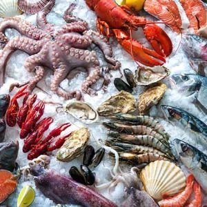 Curso de Trazabilidad y Seguridad Alimentaria en el Sector Pesquero