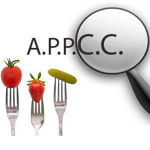 Curso de Buenas Prcticas de Fabricacin, Higiene y APPCC para el Sector Ctrico