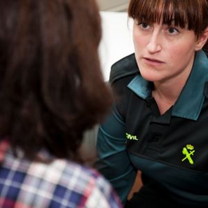 Curso de Atencin a Vctimas de Violencia de Gnero en el mbito de los Cuerpos de Seguridad