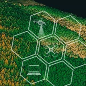 Curso Prctico de LIDAR Forestal. rbol Individual