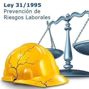 Curso Bsico Ley 31/1995 de Prevencin de Riesgos Laborales