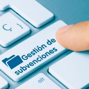 Curso Prctico de Gestin de Subvenciones