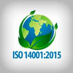 Curso de Implantacin y Auditora en Sistemas de Gestin ISO 14001:2015