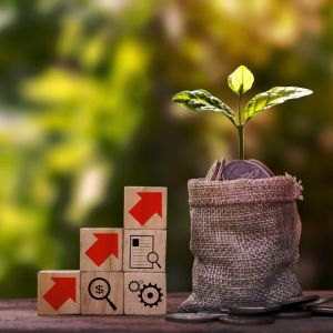 Curso de Desarrollo de Economa Sostenible en Restauracin