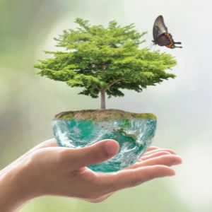 Curso de Tcnico en Contaminacin Atmosfrica y Acstica