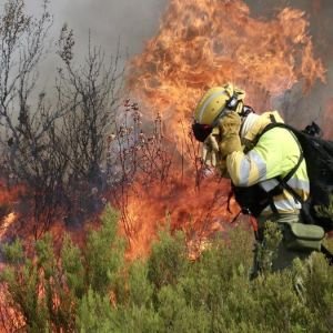 Curso Prctico de Simulacin de Incendios Forestales. FlamMap y LIDAR Aplicados a Actuaciones de Prevencin