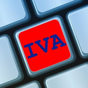 Curso Prctico sobre el Impuesto sobre el Valor Aadido (IVA)
