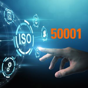 Curso de Implantacin y Auditora de Sistema de Gestin Energtica ISO 50001:2018