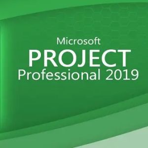Curso de Gestin de Proyectos con Microsoft Project 2019