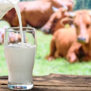 Curso de Trazabilidad y Seguridad Alimentaria en la Industria Lctea