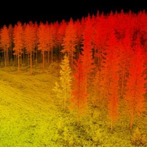 Curso Prctico de LIDAR FORESTAL. Mtodos de Masa