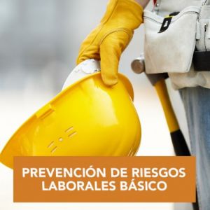 Curso de Nivel Bsico en Prevencin de Riesgos Laborales