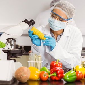 Curso de Implantacin y Auditora de Sistemas de Calidad y Seguridad Alimentaria FSSC 22000 Versin 5