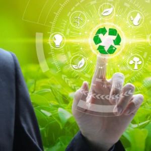 Mster Profesional en Medio Ambiente y Gestin Ambiental