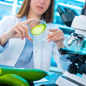 Curso de Implantacin y Auditora de Sistemas de Calidad y Seguridad Alimentaria FSSC 22000