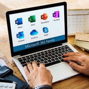 Curso Paquete Office 365 Bsico: Word, Excel y Access