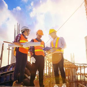 Curso Prctico de BIM MANAGEMENT: Aplicado a Infraestructuras