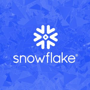 Curso Profesional de Snowflake y Data Warehouse Cloud: Gesti�n y Estrategia Avanzada de Datos
