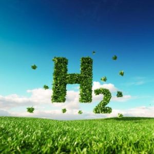 Curso de Ingeniera de Procesos Industriales y Plantas de Hidrgeno
