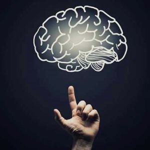Curso de Neuromarketing y Psicologa del Cliente en el Customer Experience
