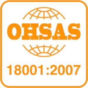 Curso de Implantacin y Auditora Sistemas de Gestin OHSAS 18001:2007