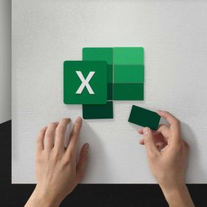 Curso de Microsoft Excel 2019 en Office 365 - Nivel Intermedio