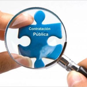 Curso de Contratacin del Sector Pblico