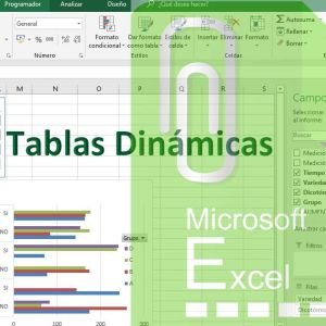 Curso Avanzado de Tablas Dinmicas para Generacin de Informes
