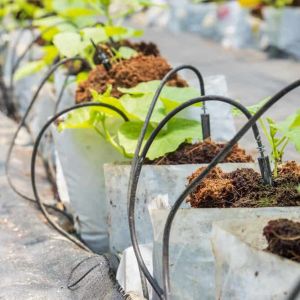 Curso de Instalacin y Mantenimiento de Sistemas de Riego por Goteo