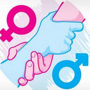 Curso de Planes de Igualdad y Violencia de Gnero