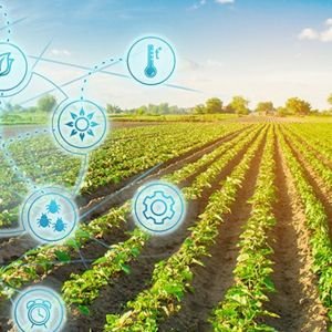 Curso Prctico de Teledeteccin Agrcola. Agricultura de Precisin
